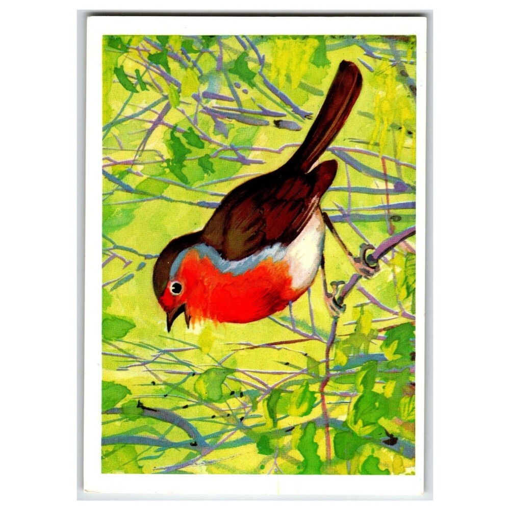 Vintage Russian Zoryanka European Robin Bird Art Postcard N. Albova 1979